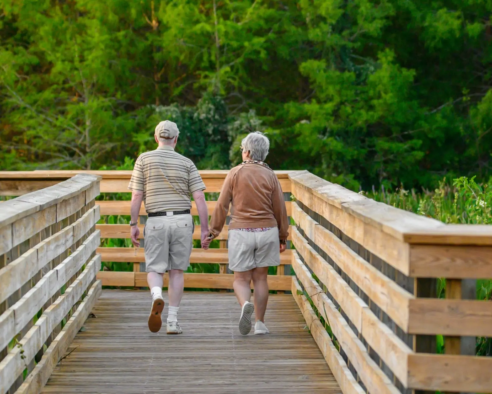 Wellness Programs