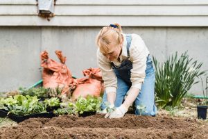 a woman planting a plant in the dirt