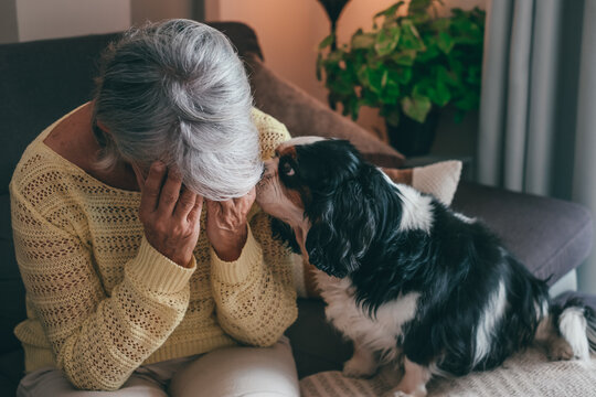 Total Life: Letting Go & How To Support Seniors In Re-housing Their Pets