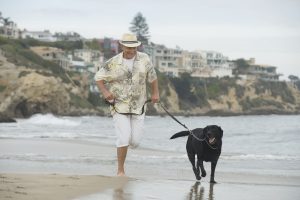 Senior man exercising dog on beach