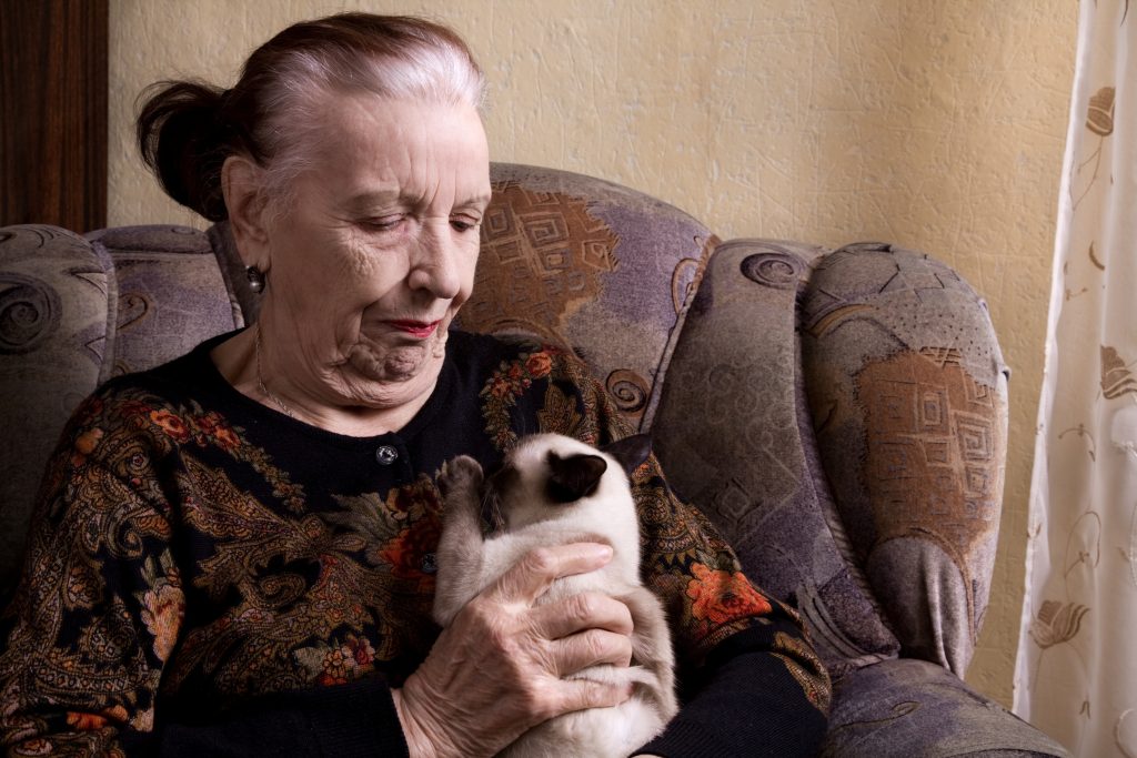 Straight Talk: The Downside of Owning Pets as a Senior