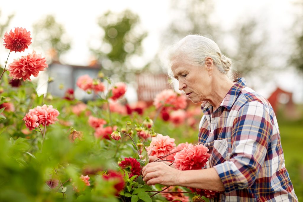 Spring Forward: 5 Refreshing Ways to Embrace the New Season