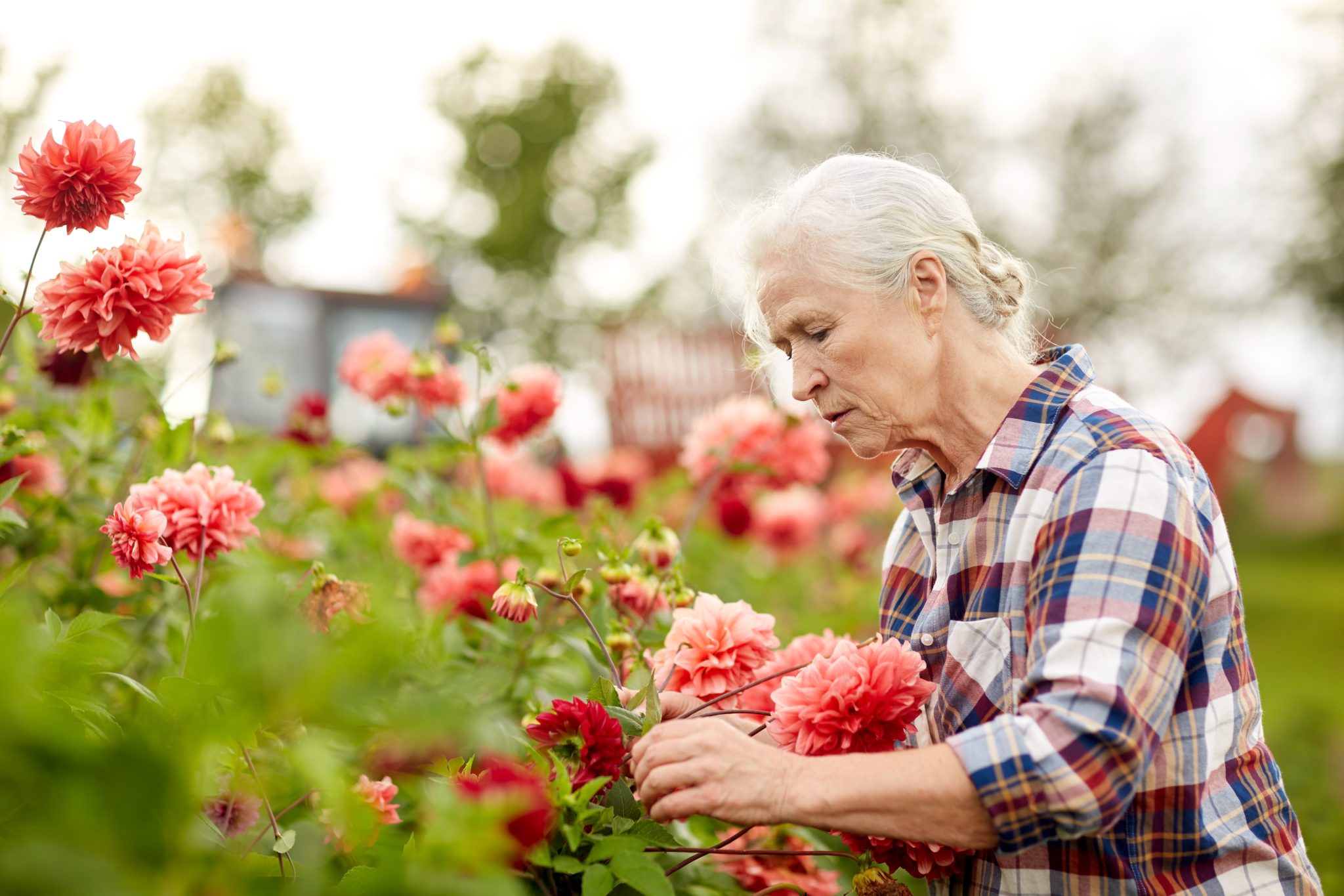 Spring Forward: 5 Refreshing Ways to Embrace the New Season